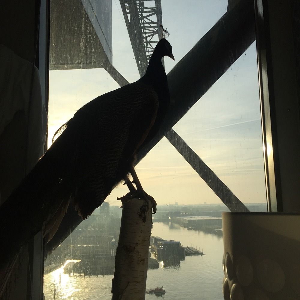 Crane Hotel Faralda Amsterdam Exteriör bild
