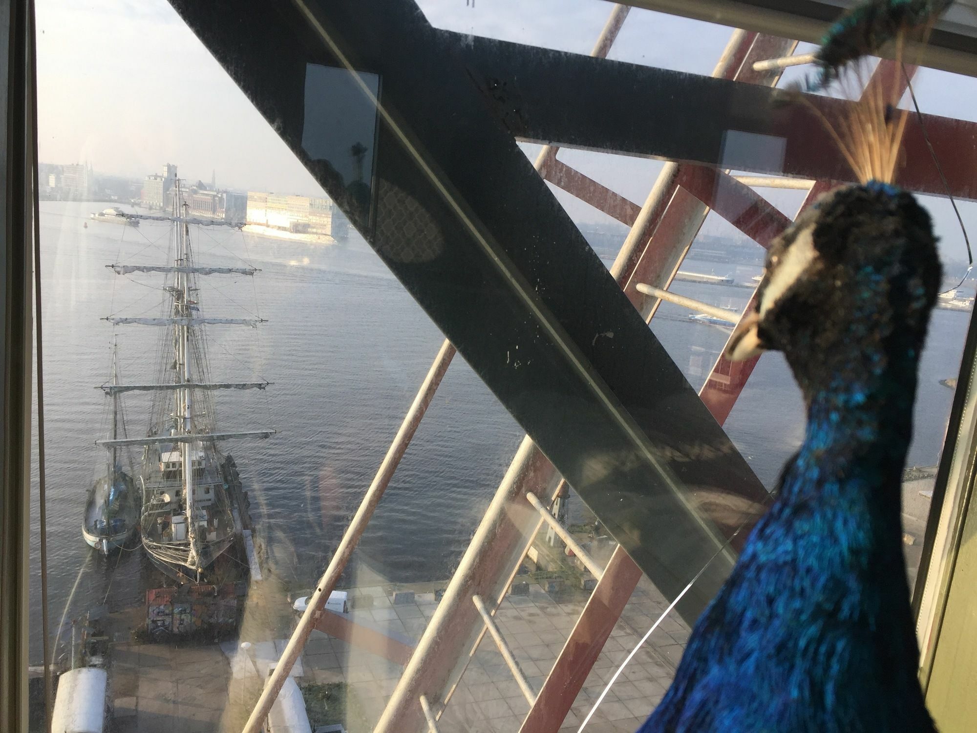 Crane Hotel Faralda Amsterdam Exteriör bild